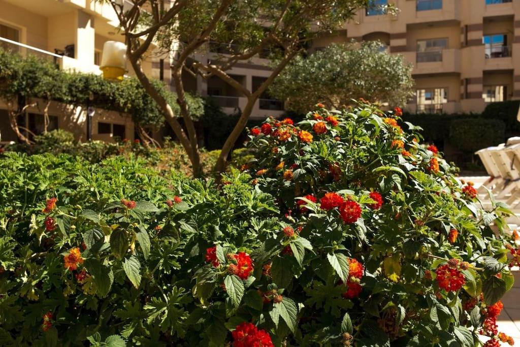 Florenza Khamsin - Sea View / Free Wi-fi شقة